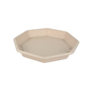 Δοχείο Σαλάτας Οκτάγωνο, 850ml, 23x23x3cm, από ζαχαροκάλαμο, Μίας Χρήσης, Μπεζ, Sabert